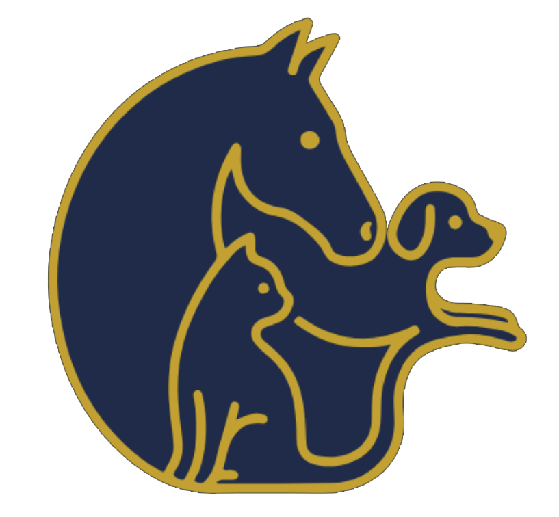 Blue and gold medium res