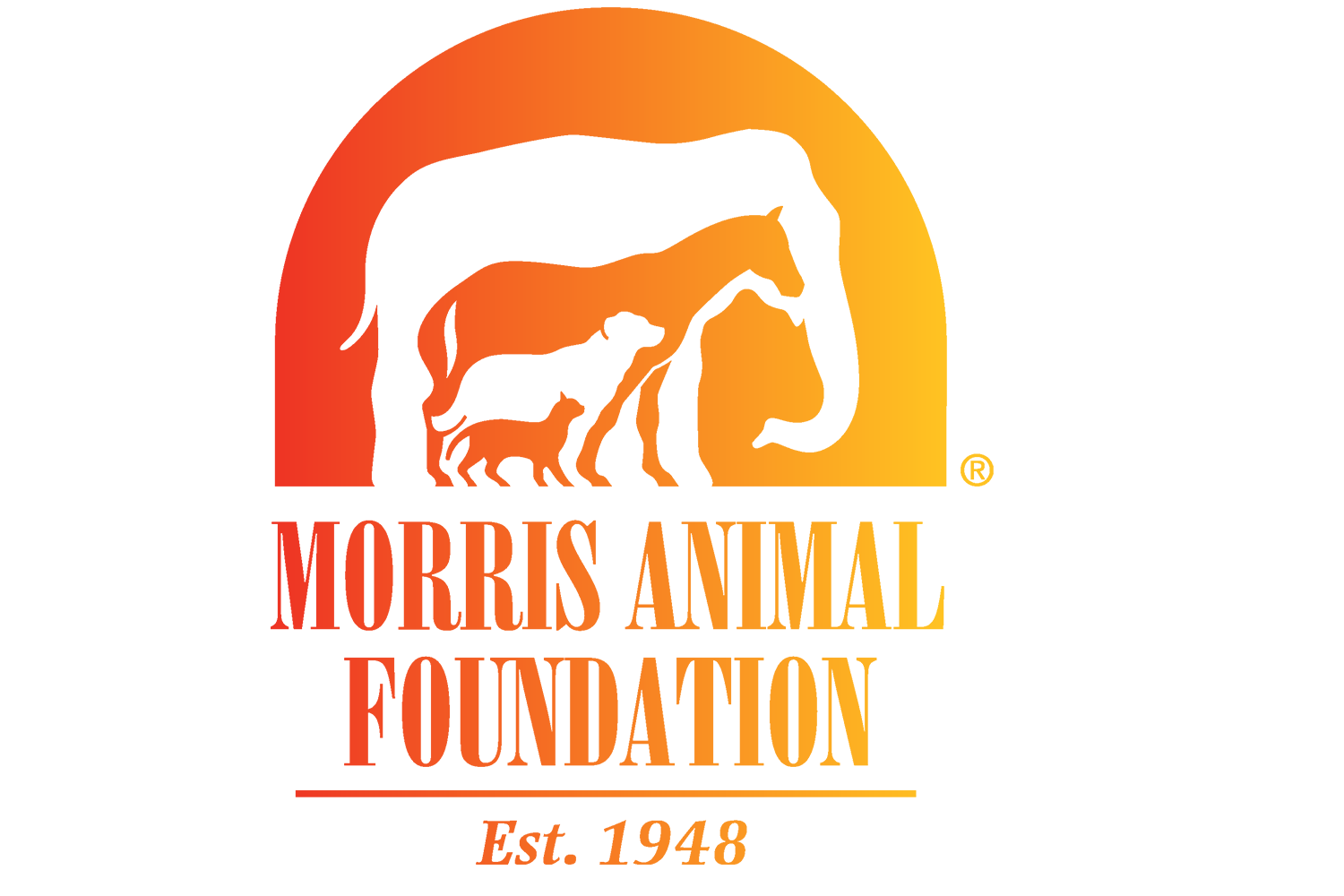morris-animal
